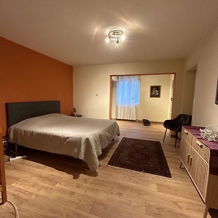Bel Appartement En Rdc Proche Strasbourg Nice Apartment Very Near Strasbourg Eksteriør bilde