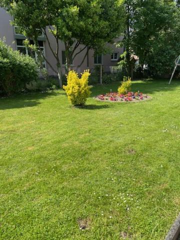 Bel Appartement En Rdc Proche Strasbourg Nice Apartment Very Near Strasbourg Eksteriør bilde